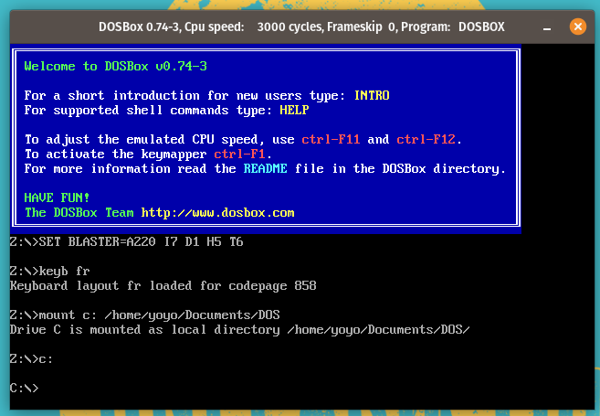 dosbox-configure_etape3.png