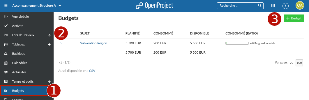 11-time_and_costs-budget_page.png